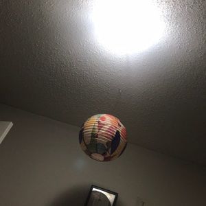 Meet your Posher, Shayna